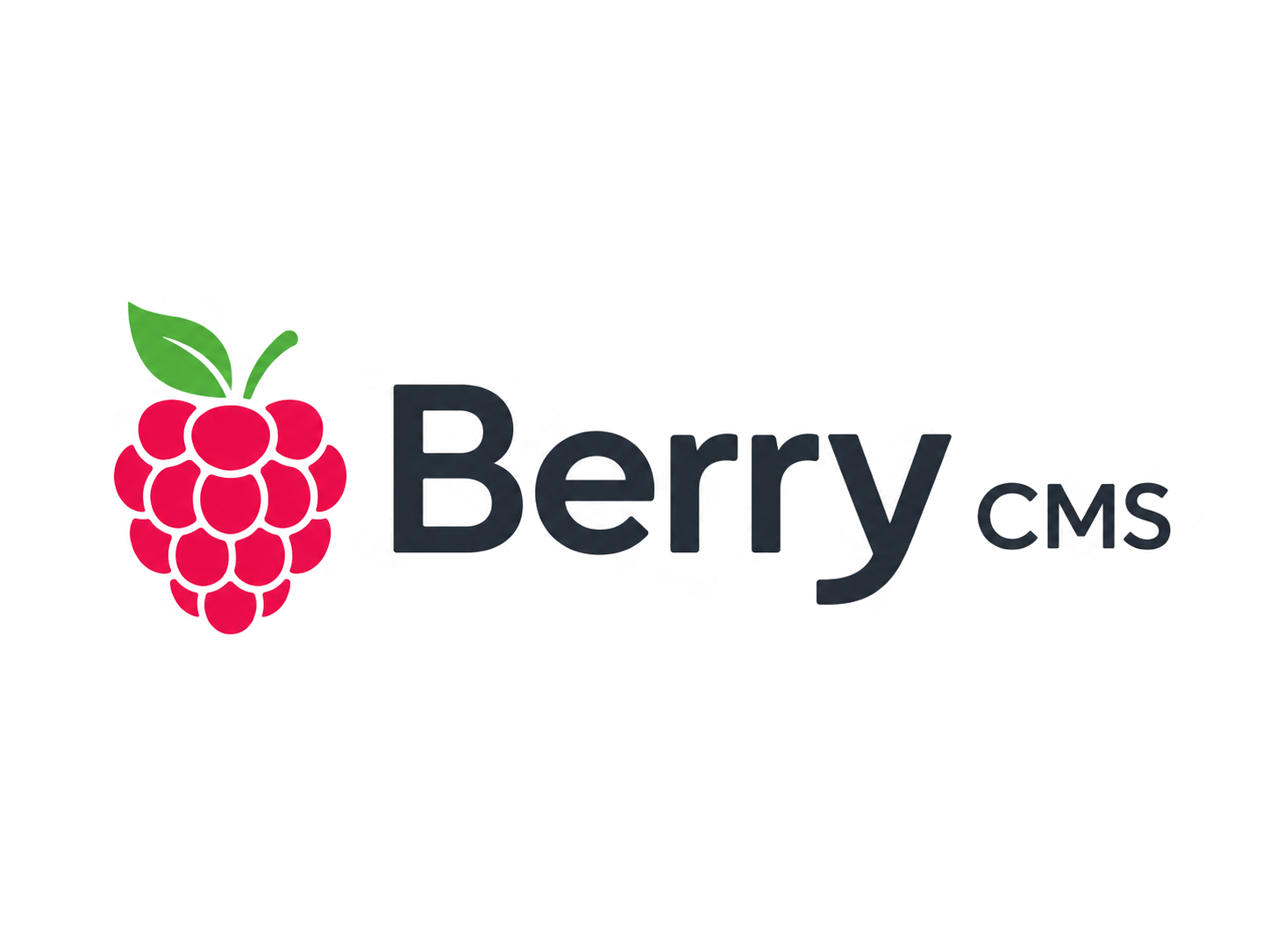 Логотип Berry CMS на светлом фоне